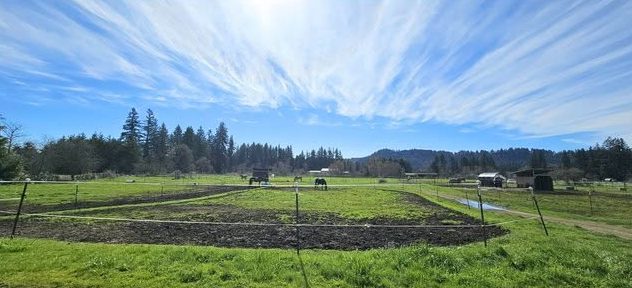 Open pasture under a big sky