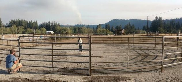 The round pen