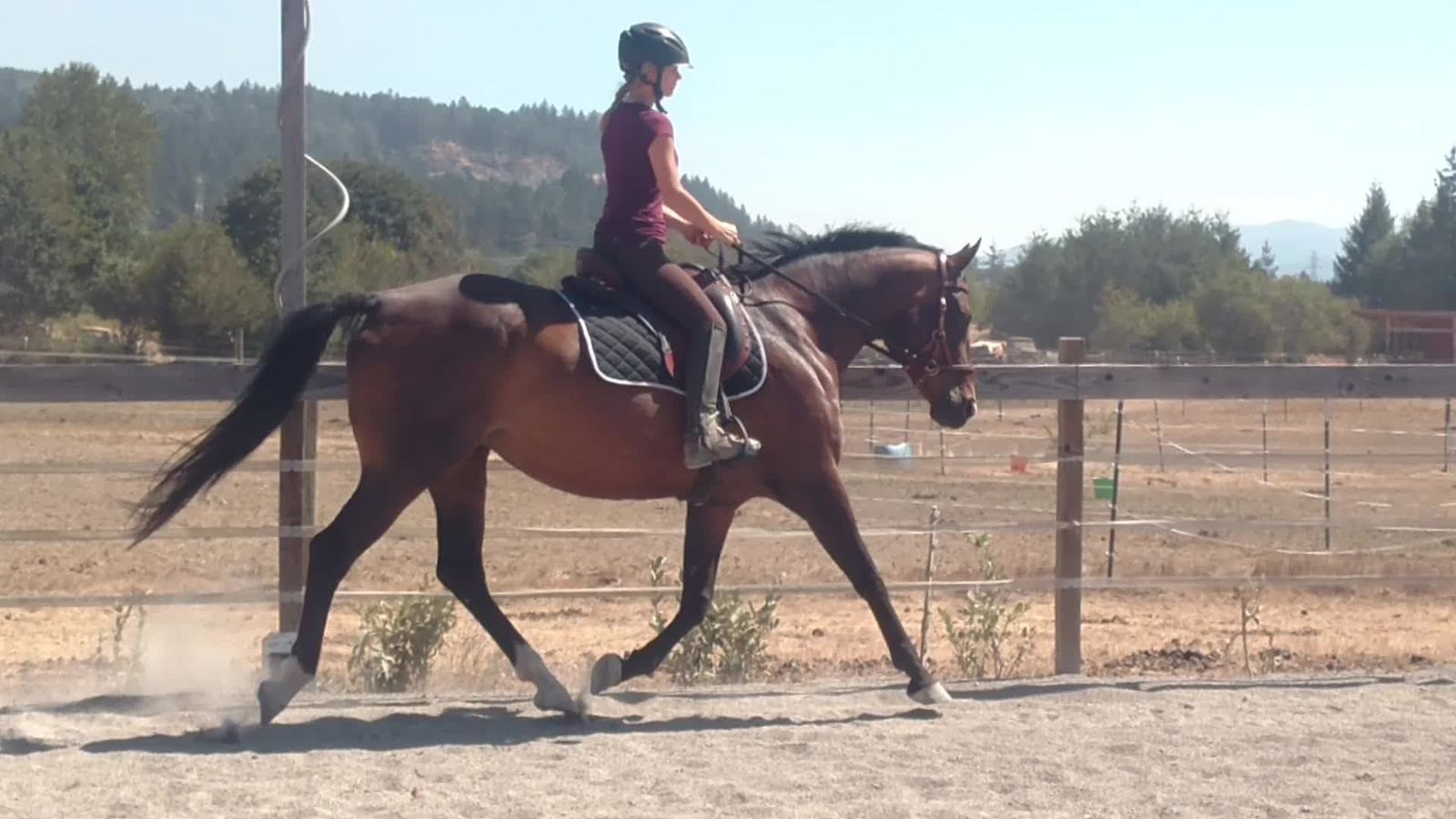 Riding at MoSa Ranch