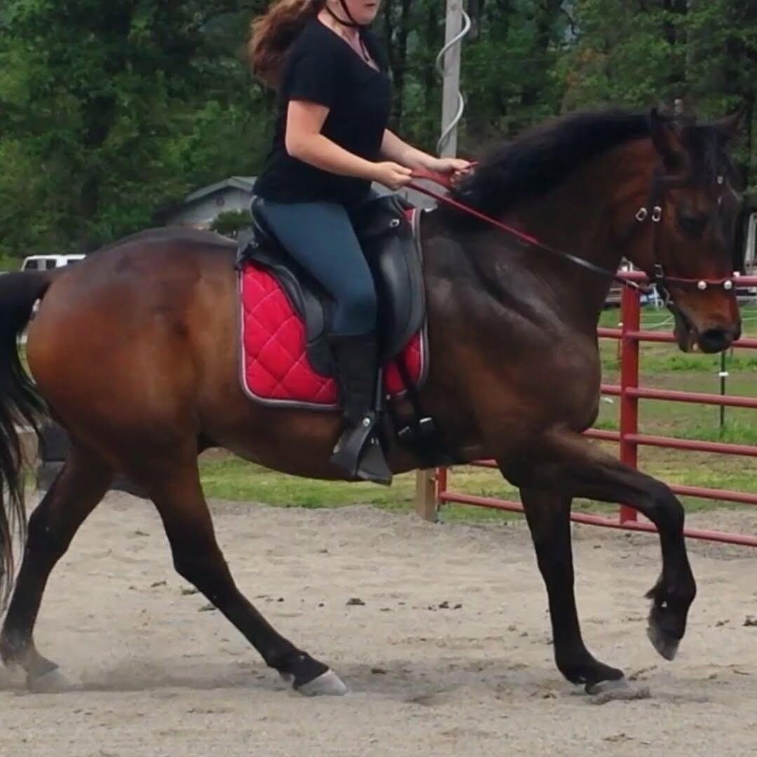 Riding at MoSa Ranch
