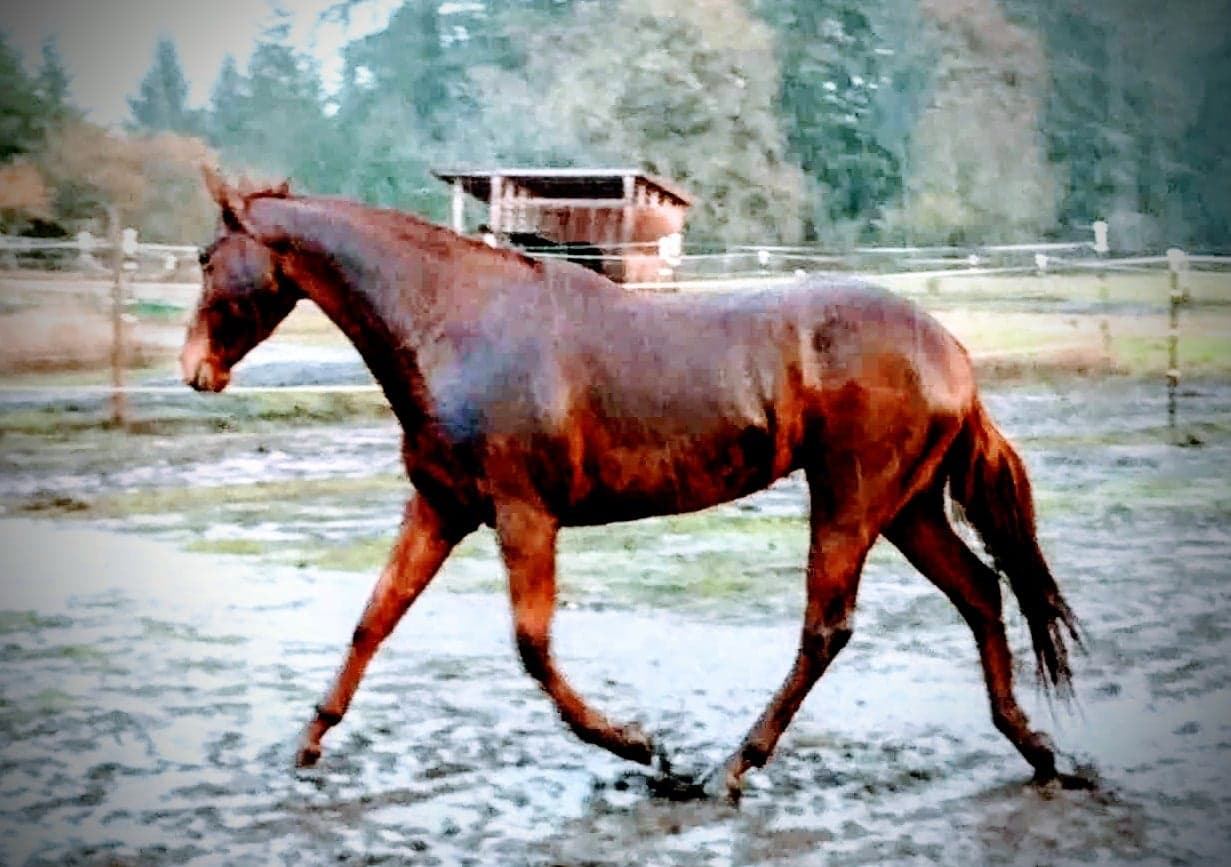 Riding at MoSa Ranch