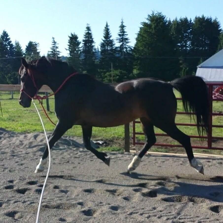 Riding at MoSa Ranch