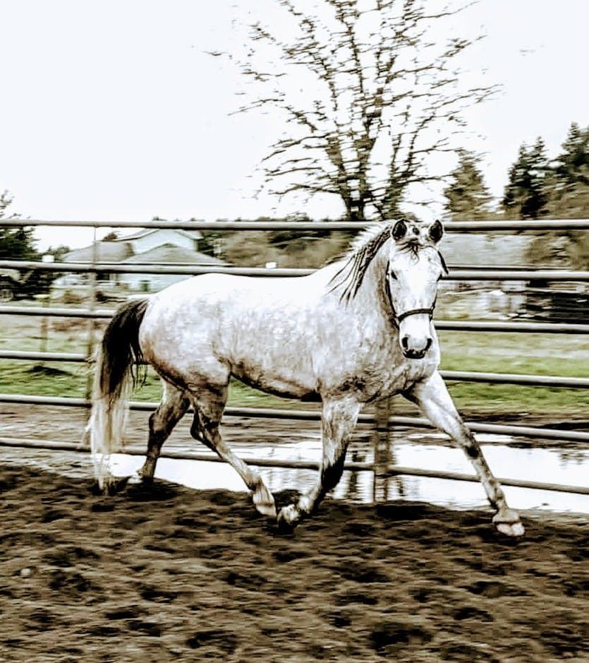 Riding at MoSa Ranch