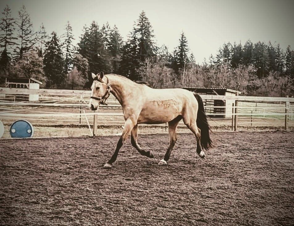 Riding at MoSa Ranch