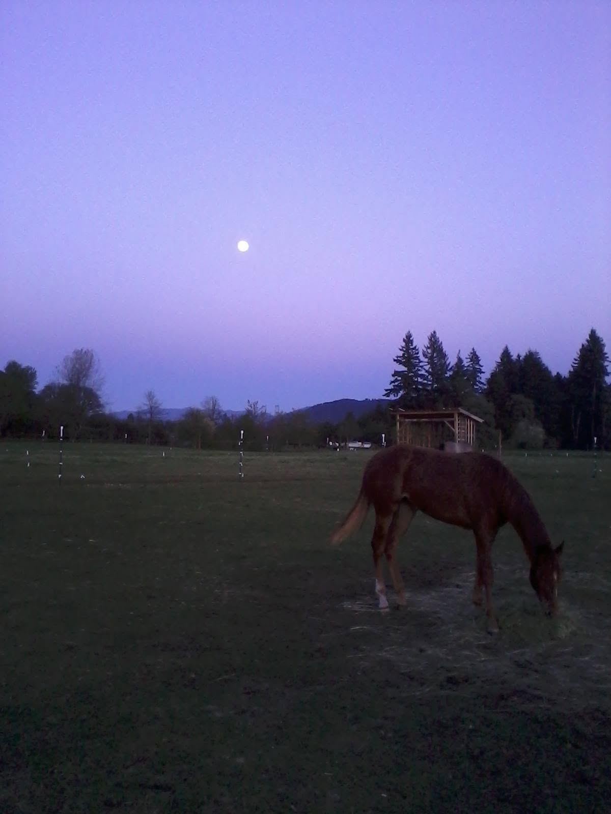 The sky over MoSa Ranch
