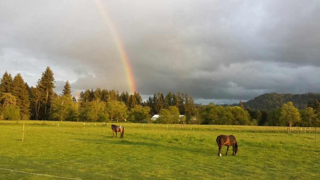 The sky over MoSa Ranch