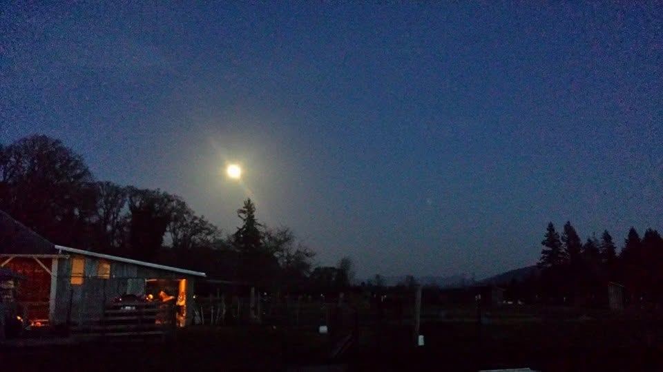 The sky over MoSa Ranch