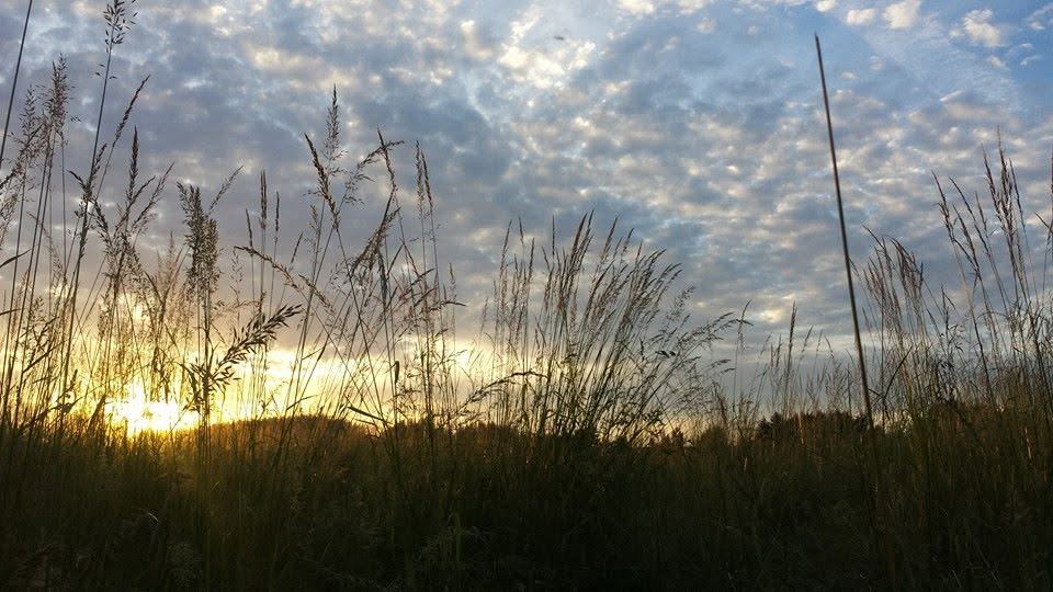 The sky over MoSa Ranch